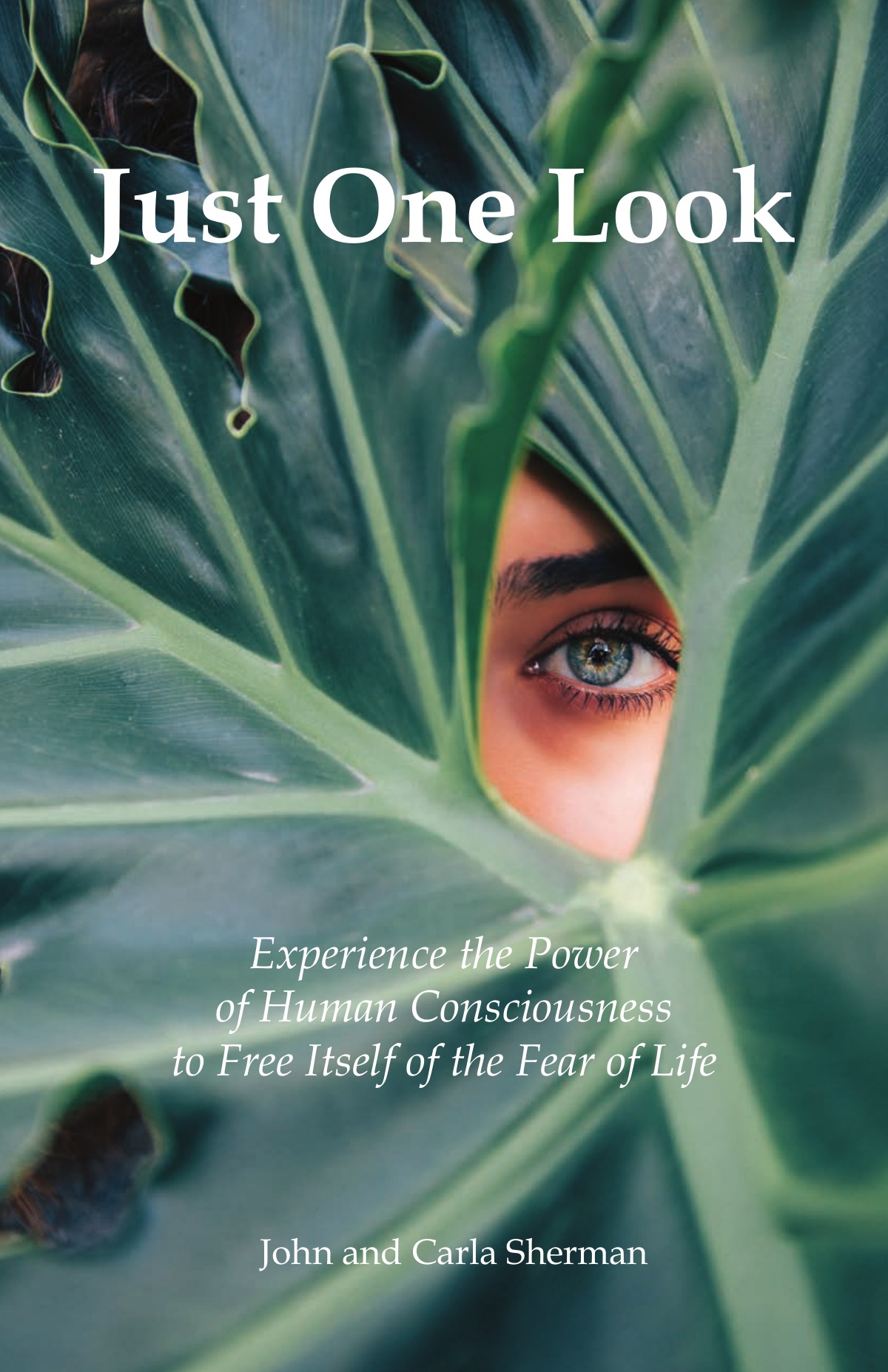 Cover of Just One Look