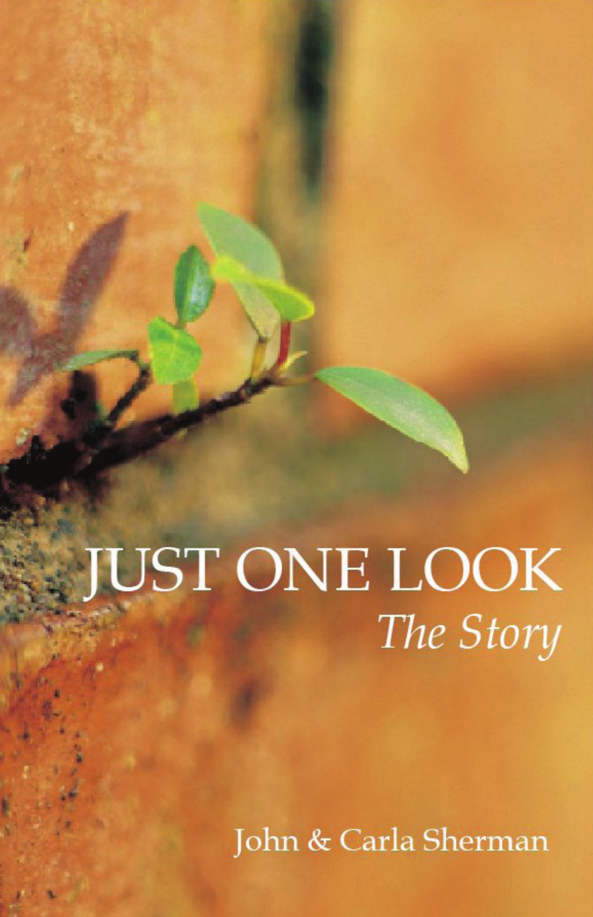 Cover of Just One Look: The Story