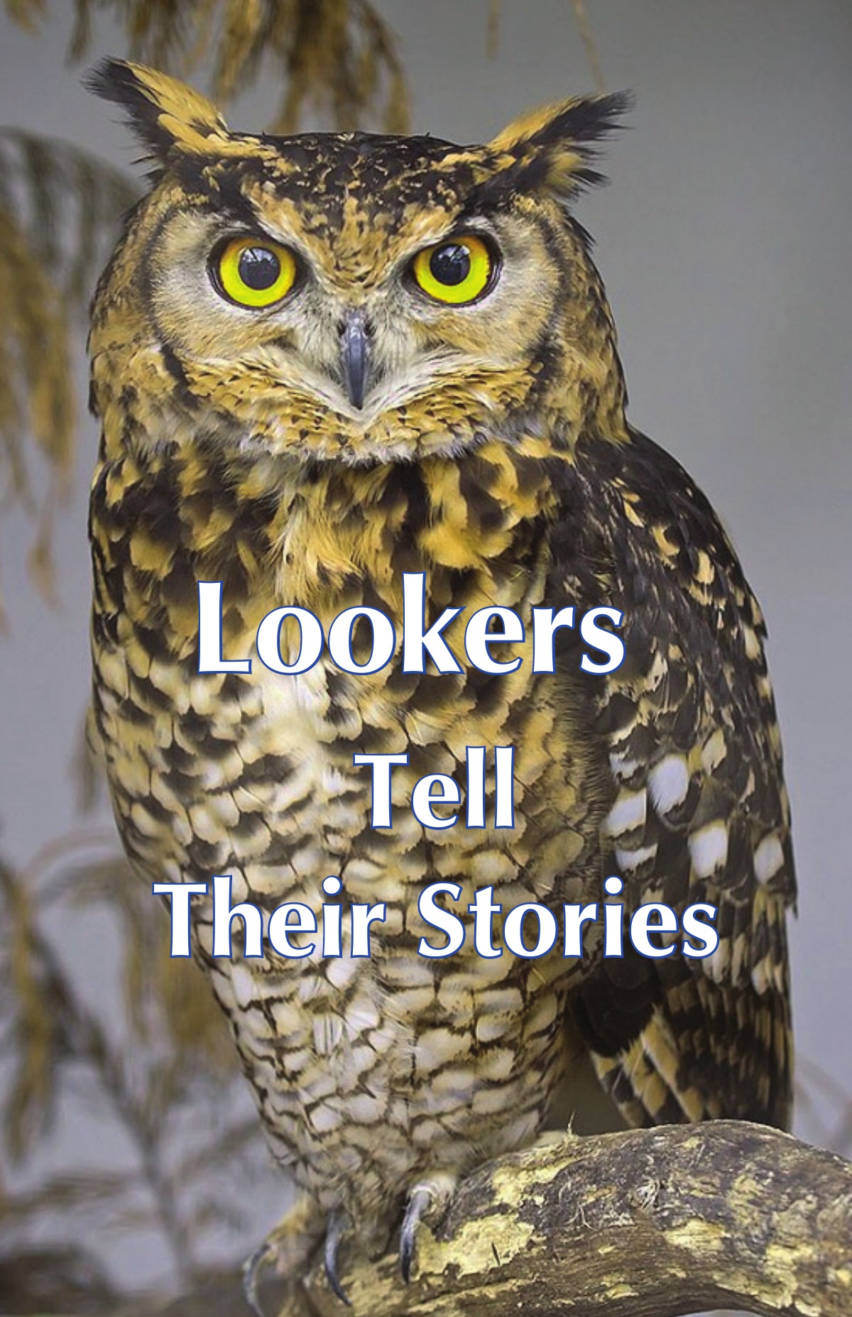Cover of Lookers Tell Their Stories